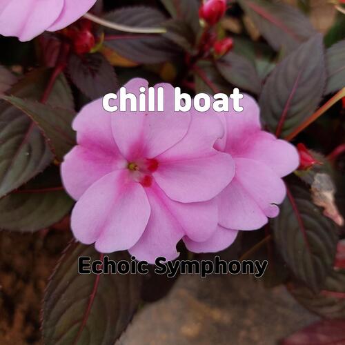 chill boat cover art