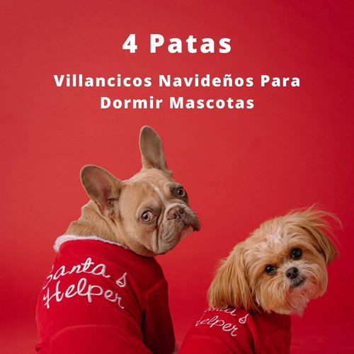 Música De Mascotas Para Dormir Profundo cover art
