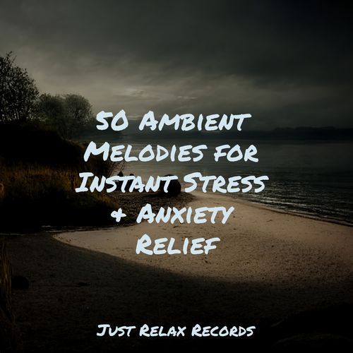 50 Ambient Melodies for Instant Stress & Anxiety Relief