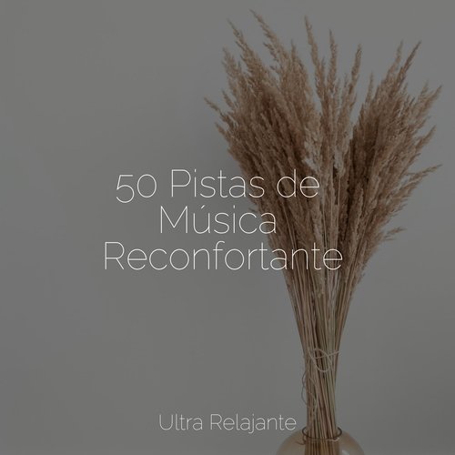 50 Pistas de Música Reconfortante_poster_image