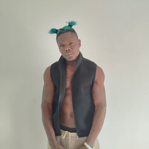 Ilegales cover art