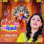 Aaye Tere Dar Pe Tere Diwane