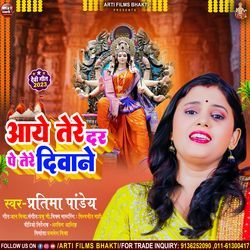 Aaye Tere Dar Pe Tere Diwane