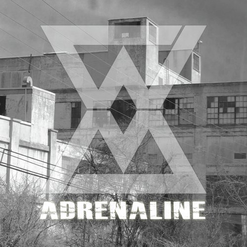 Adrenaline (Doctor Boom Remix) cover art