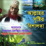 Allahr Sristir Bishalota