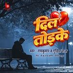 Dil Todke