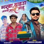 Garba Ne Dahda Aayja Mari Janu