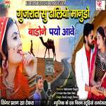 Gujarat Su Dholiyo Manudo Badone Payo Aave