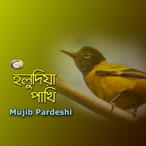 Dakar Moto Dakte Parle