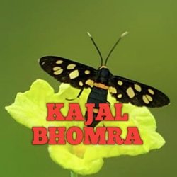 KAJAL BHOMRA-IjkzdAR6AXI