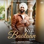 Kya Hi Baataan Lofi artwork