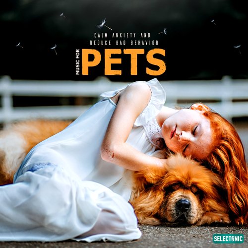 Nelson cover art