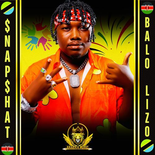 $Nap$Hat cover art