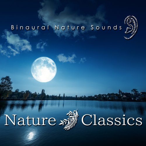 sea(Herz und Mund und Tat und Leben in C Major, BWV 147: VI .Chorale: Wohl mir, dass ich Jesum habe) cover art