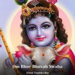 Om Bhur Bhuvah Swaha