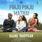 Pinju Pinju Mazhai