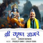 Shri Krishna Jagar artwork