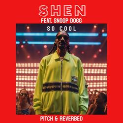 So Cool (feat. Snoop Dogg) (Pitch and Reverbed)-HyctVAxyZXY