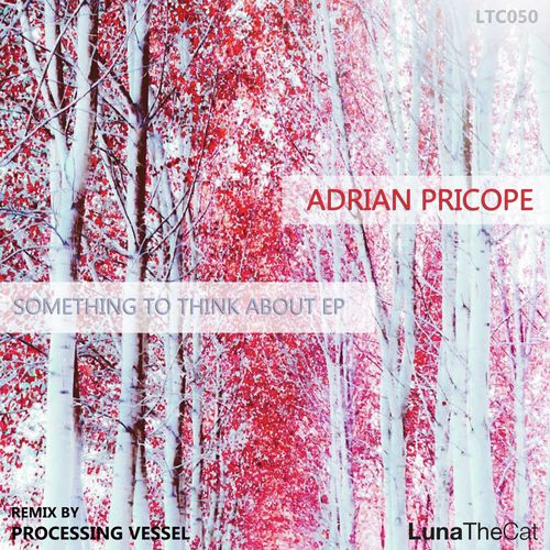 Adrian Pricope