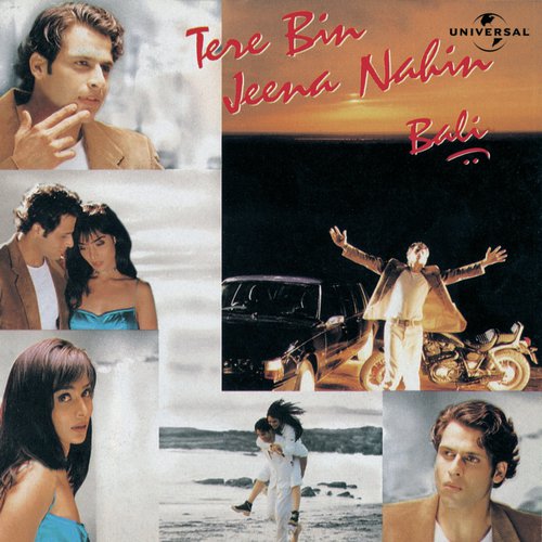 Tere Bin Jeena Nahin (Album Version)