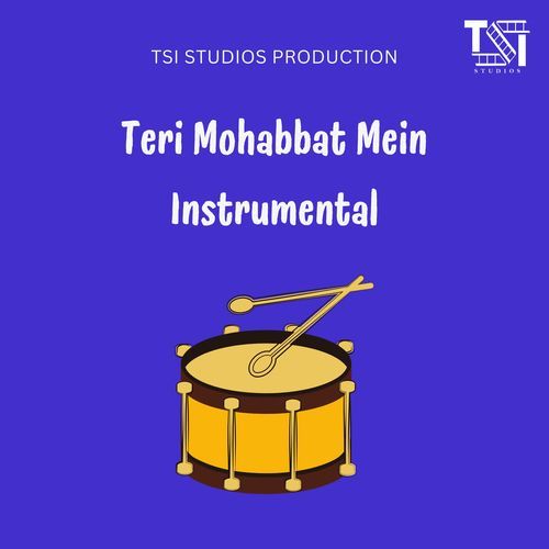Teri Mohabbat Mein Instrumental