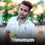 Teri Tanhaiyan artwork