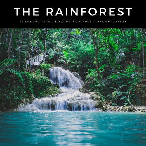 The Rainforest: Peaceful River Sounds For Full Concentration