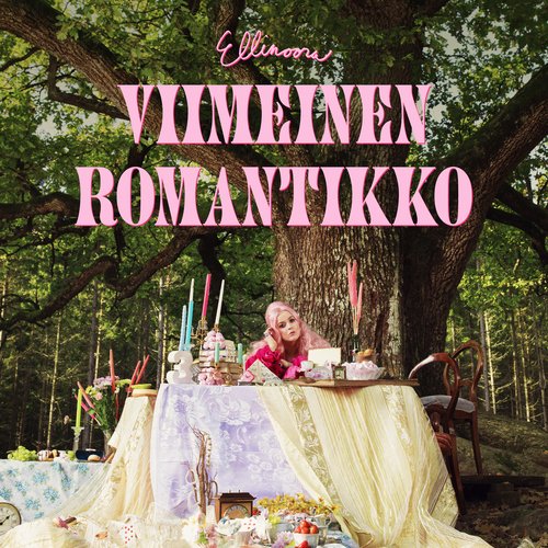 Viimeinen romantikko_poster_image