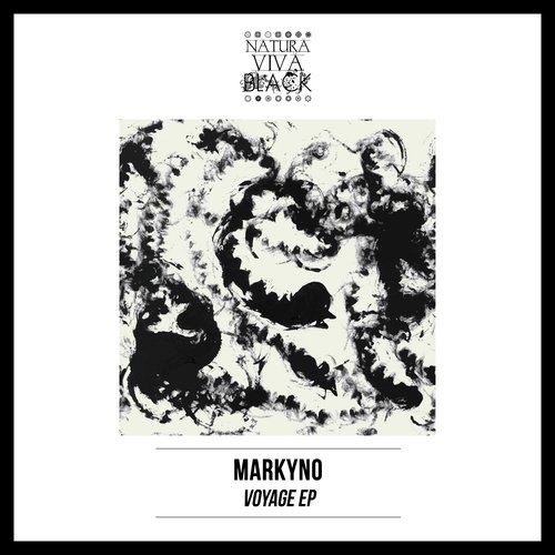 Voyage cover art