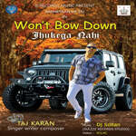 Won't Bow Down