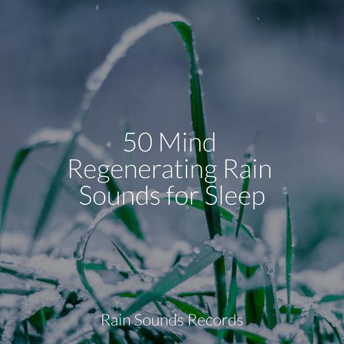 50 Mind Regenerating Rain Sounds for Sleep