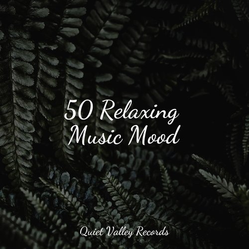 50 Relaxing Music Mood