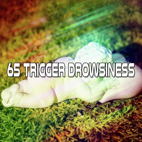 65 Trigger Drowsiness_poster_image