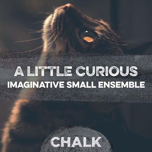 A Little Curious - Imaginative Small Ensemble