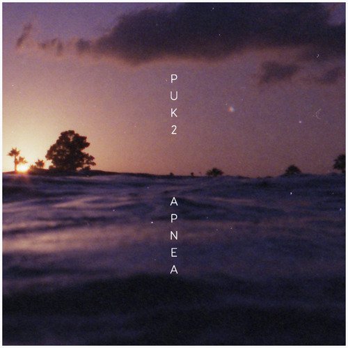 Joel cover art