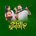 Bari Aise Kana Dula Vai