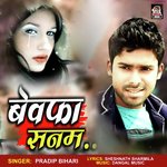 Bewafa Sanam