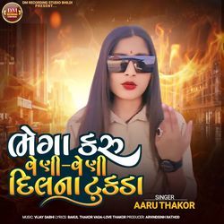 Bhega Karu Veni Veni Dilna Tukda