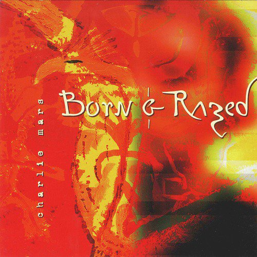 Born and Razed_poster_image