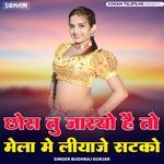 Chhora Tu Jaryo H To Mela Me Liyaje Satka