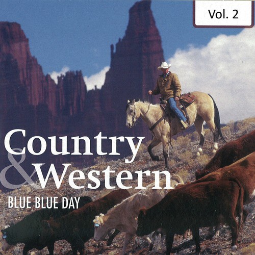 Country & Western- Hits And Rarities Vol. 2