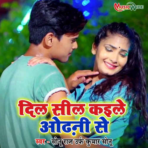 Dil Seal Kaile Odhni Se_poster_image