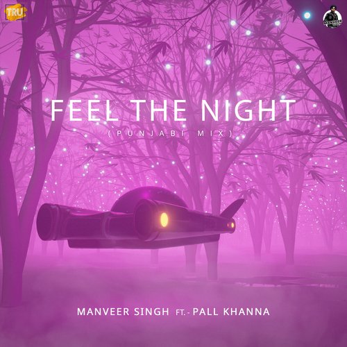 Feel The Night (Punjabi Mix)