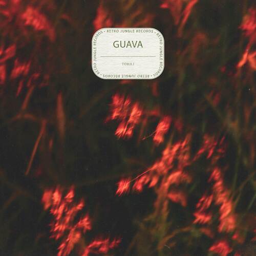 Guava