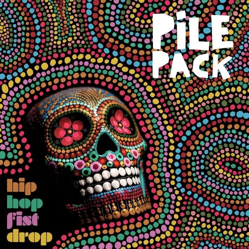 Say Hi to the Silly Guy cover art