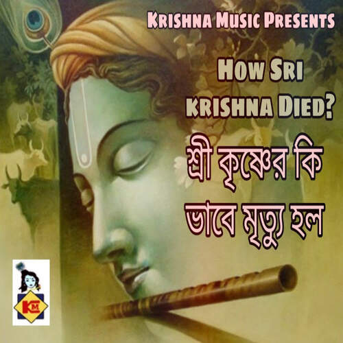 How Sri Krishna Died