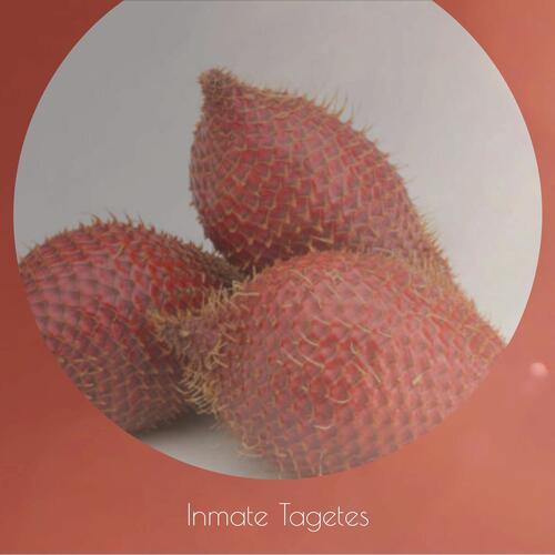 Inmate Tagetes cover art