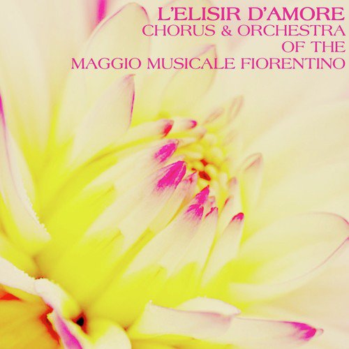 L'Elisir D'Amore