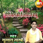 Meri Dil Ki Aajav Babu
