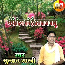Meri Dil Ki Aajav Babu
